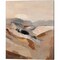 Distant Forest by Silvia Vassileva 12" x 15" Canvas Wall Art (Set of 2)